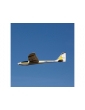 E-flite Conscendo Evolution 1.5m PNP