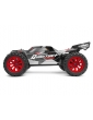 Kėbulas 150252 - Quantum+ XT Body (Grey/Red)