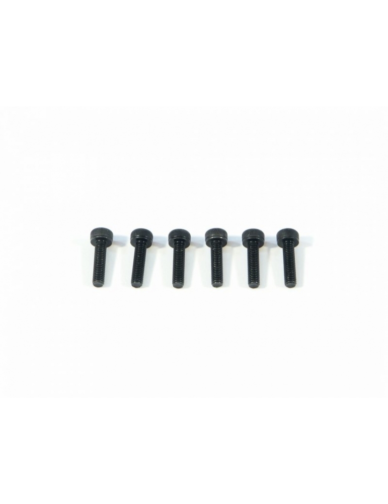 Z544 - CAP HEAD SCREW M3x12mm (6vnt)