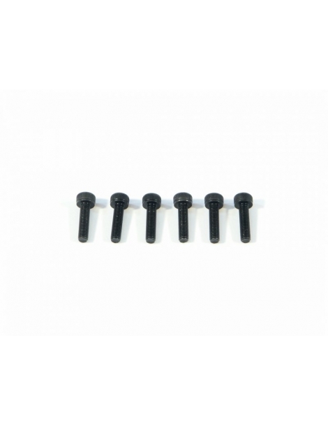 Z544 - CAP HEAD SCREW M3x12mm (6vnt)