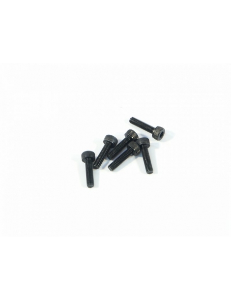 Z544 - CAP HEAD SCREW M3x12mm (6vnt)
