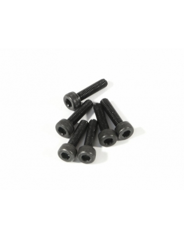 Z544 - CAP HEAD SCREW M3x12mm (6vnt)