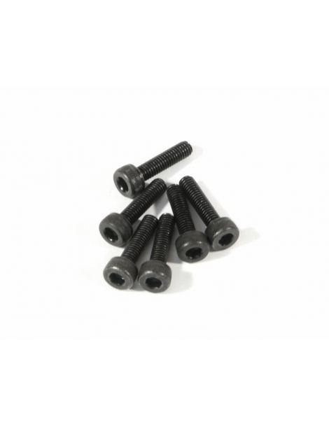 Z544 - CAP HEAD SCREW M3x12mm (6vnt)
