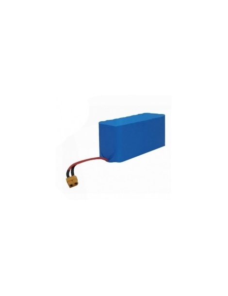 Akumuliatorius  Joysway Baiting 2500 15600mAh 6.4V LiFePo