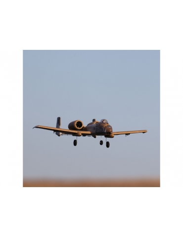 Lėktuvas UMX A-10 Thunderbolt II 30mm EDF