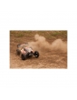 HPI Trophy Buggy FLUX