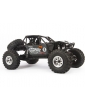 Axial RR10 Bomber 4WD 1:10 RTR - Pilka