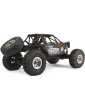 Axial RR10 Bomber 4WD 1:10 RTR - Pilka