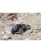 Axial RR10 Bomber 4WD 1:10 RTR - Pilka