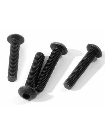 Z216 - BUTTON HEAD SCREW M3x15mm (HEX SOCKET/4pcs)