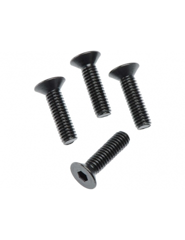 AR722415 - FLAT HEAD HEX MACHINE SCREW M4X15MM (4PCS)