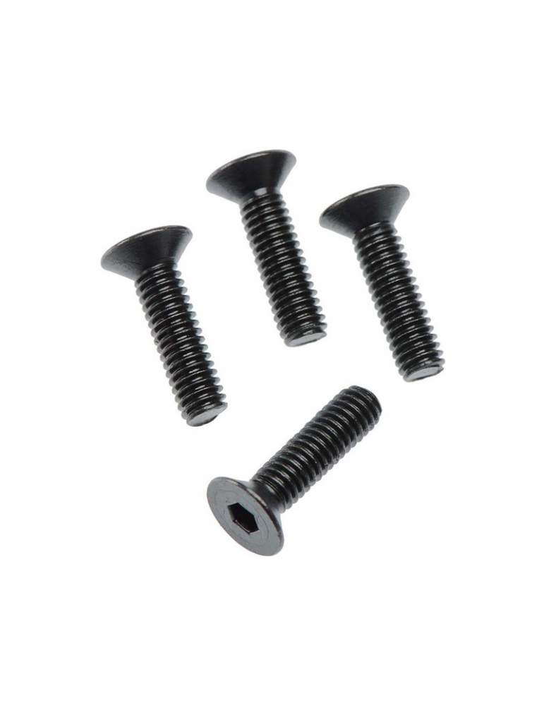 AR722415 - FLAT HEAD HEX MACHINE SCREW M4X15MM (4PCS)