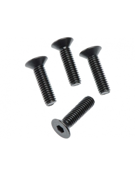 AR722415 - FLAT HEAD HEX MACHINE SCREW M4X15MM (4PCS)