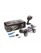 Wltoys 124019 Buggy 1:12 4WD 2.4Ghz RTR 60km/h