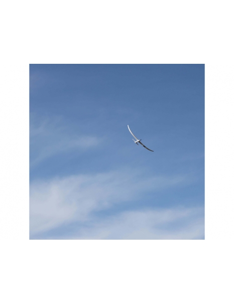 Lėktuvas E-flite Night Radian 2.0m