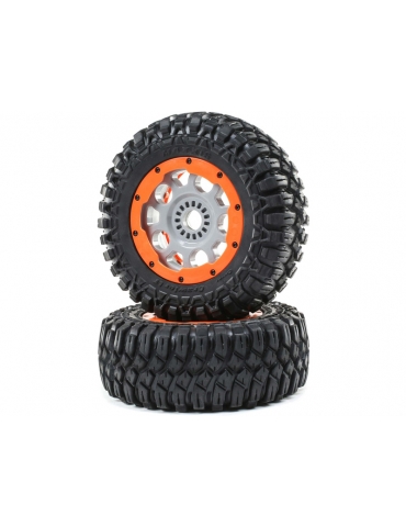 DBXL-E 2.0 RTR: 1/5 4WD SMART Electric - FOX