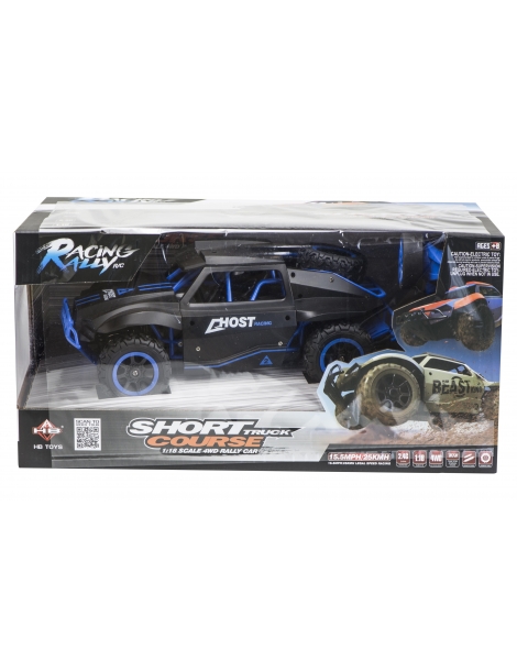 Host Racing Rally RC automodelis