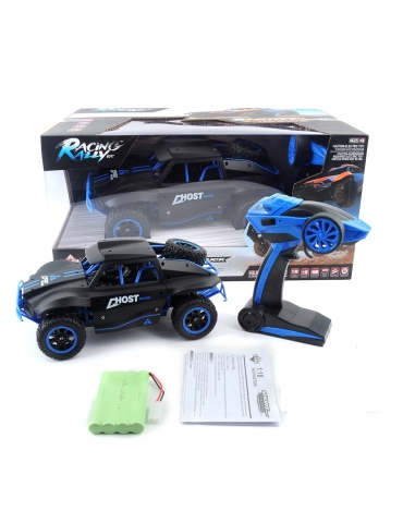 Host Racing Rally RC automodelis