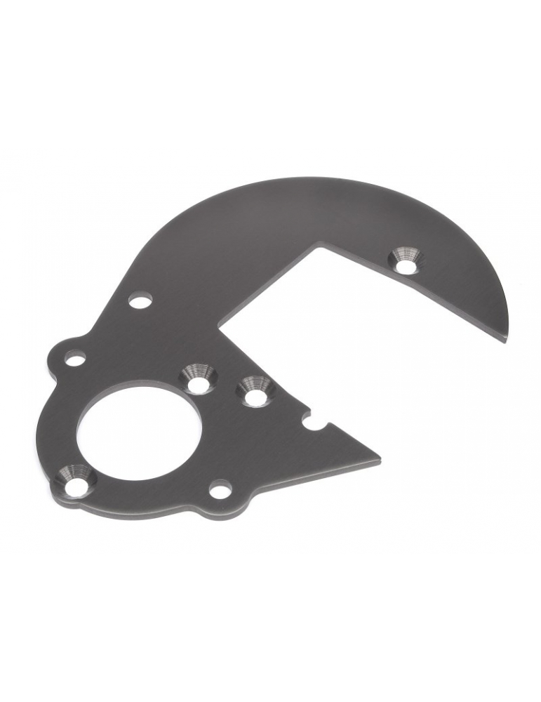 102161 - GEAR PLATE (GUNMETAL)