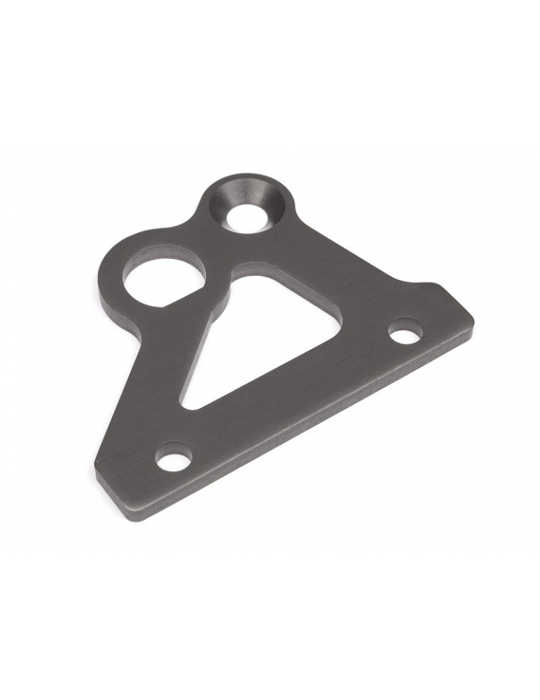 102162 - BRAKE HOLDER PLATE (GUNMETAL)