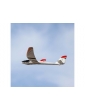 Lėktuvas E-flite Radian 0.7m SAFE AS3X BNF Basic