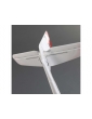 Lėktuvas E-flite Radian 0.7m SAFE AS3X BNF Basic
