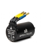 Spektrum Brushless Motor Firma 3658 3900Kv