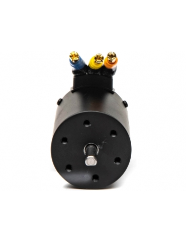 Spektrum Brushless Motor Firma 3658 3900Kv