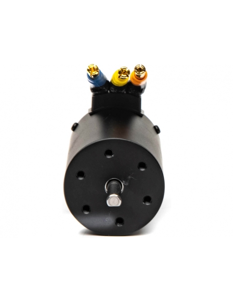 Spektrum Brushless Motor Firma 3658 3900Kv