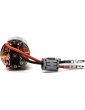 Variklis Spektrum Brushed Firma 540 16T