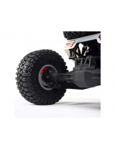 RC modelis Losi 1/6 Super Rock Rey V2 4WD RTR - pilka