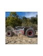 RC modelis Losi 1/6 Super Rock Rey V2 4WD RTR - pilka