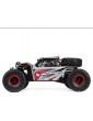 RC modelis Losi 1/6 Super Rock Rey V2 4WD RTR - pilka