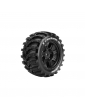 T3298B - Louise X-CYCLONE X-Maxx (MFT) (2)