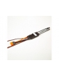 Spektrum Smart Brushless ESC Avian 30A 3-6S