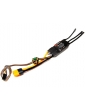 Spektrum Smart Brushless ESC Avian 45A 3-6S