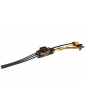 Spektrum Smart Brushless ESC Avian 100A 3-6S