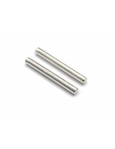 540028 - Steering Posts (2P)