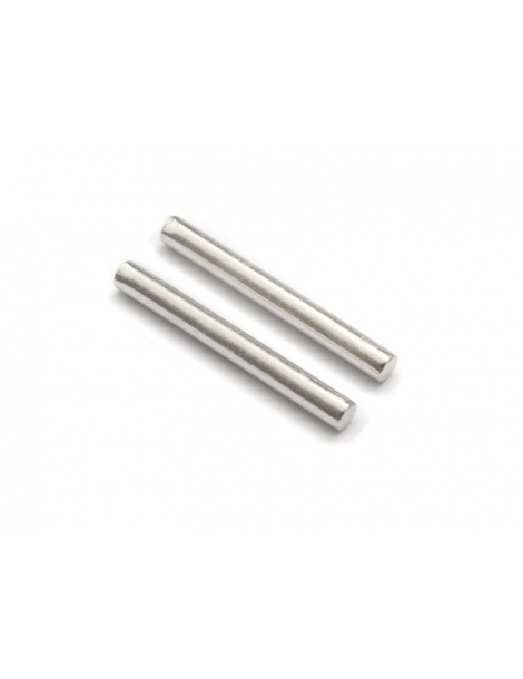 540028 - Steering Posts (2P)