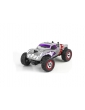 NINCORACERS Bulldog 1:24 2.4GHz RTR