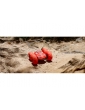 NINCORACERS Aquabound+ RTR