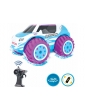 NINCORACERS Aquasnow RTR violet