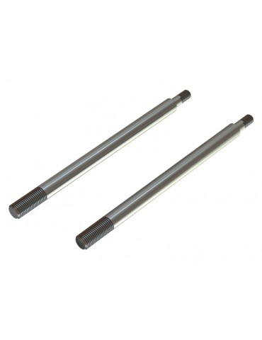 Arrma Shock Shaft 6x95mm (2)