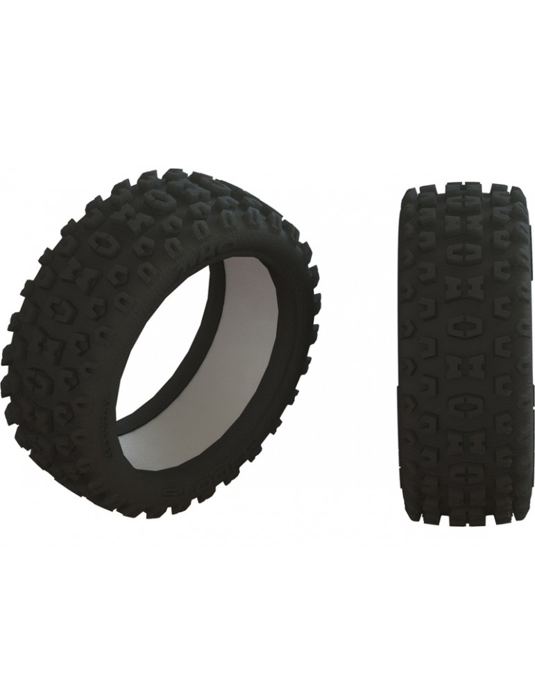 Arrma 2HO Tire & Inserts (2)