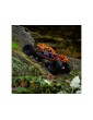 Axial 1/10 RBX10 Ryft 4WD RTR Orange