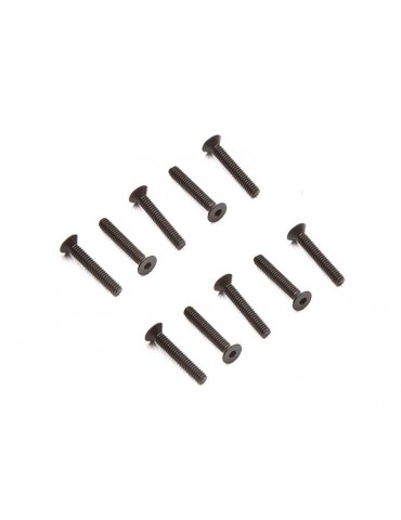 Axial Screw M2x12mm Flat Head (10)
