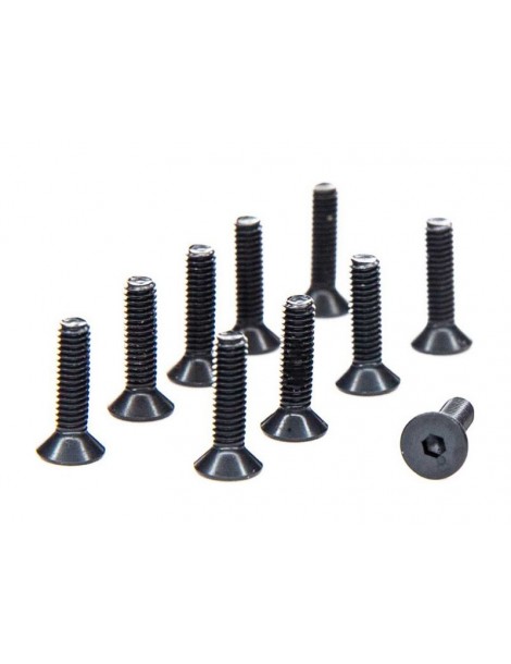 Axial Screw M2.5 x 10mm Flat Head Screw (10)