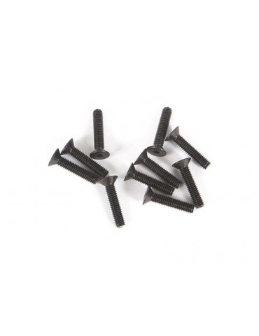 Axial Screw Hex Socket M2.5x12mm Flat Head (10)