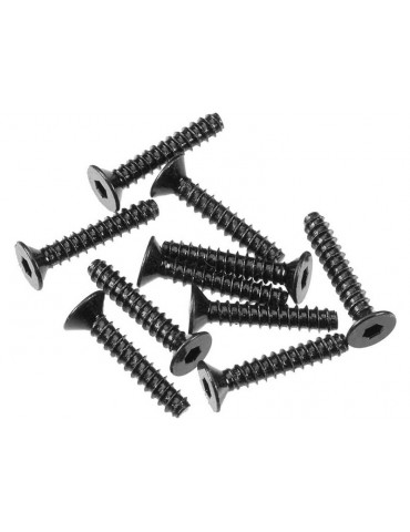 Axial Screw Self Tapping Hex Socket 3x16mm FH (10)