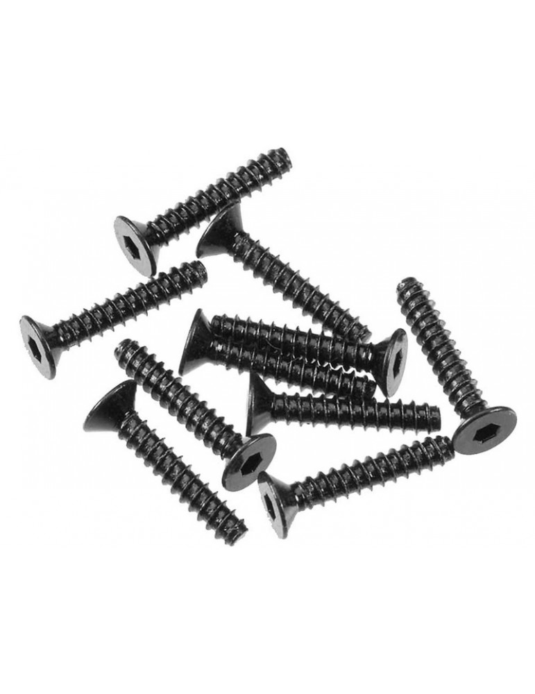 Axial Screw Self Tapping Hex Socket 3x16mm FH (10)